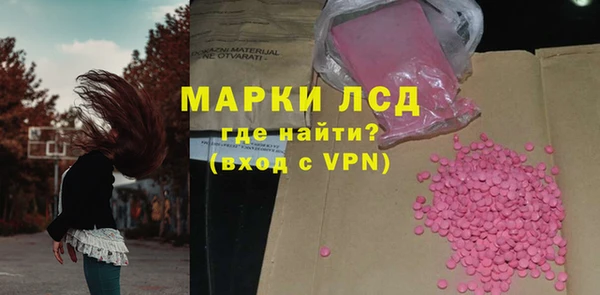 МДПВ Пересвет