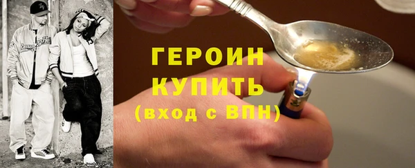 МДПВ Пересвет