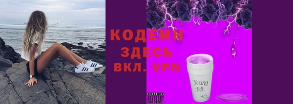 МДПВ Пересвет
