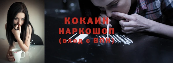 гашик Переславль-Залесский