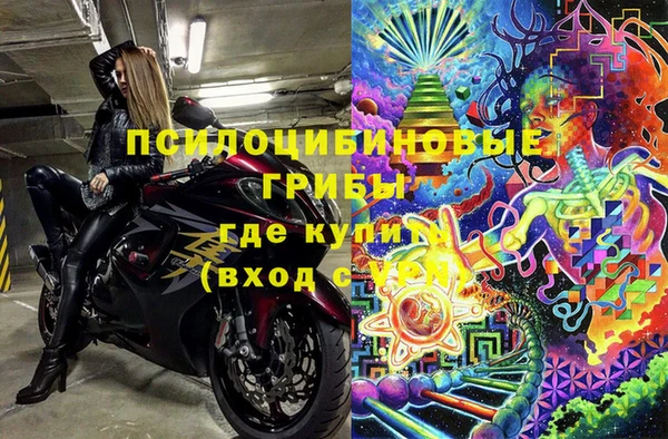 МДПВ Пересвет