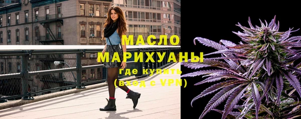 МДПВ Пересвет