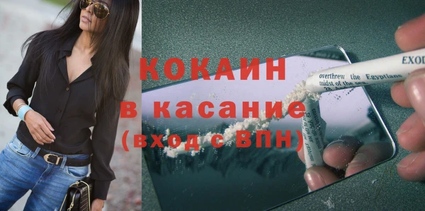 МДПВ Пересвет