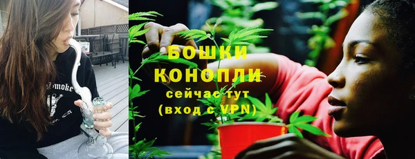 МДПВ Пересвет