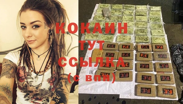 МДПВ Пересвет