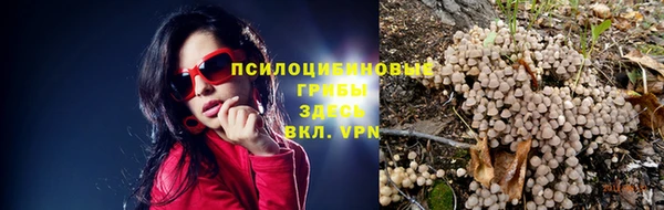 МДПВ Пересвет