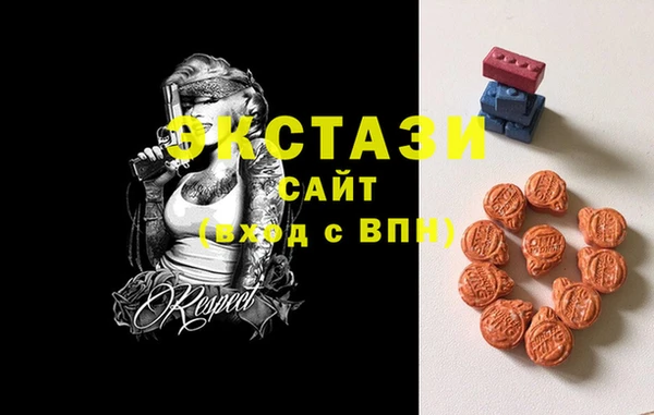 МДПВ Пересвет
