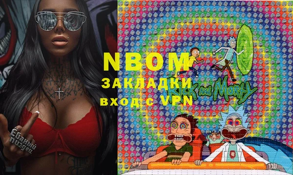 МДПВ Пересвет