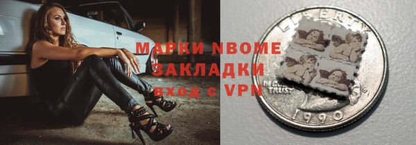 МДПВ Пересвет