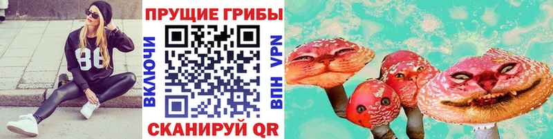 Купить  Стародуб  Галлюциногенные грибы прущие грибы 